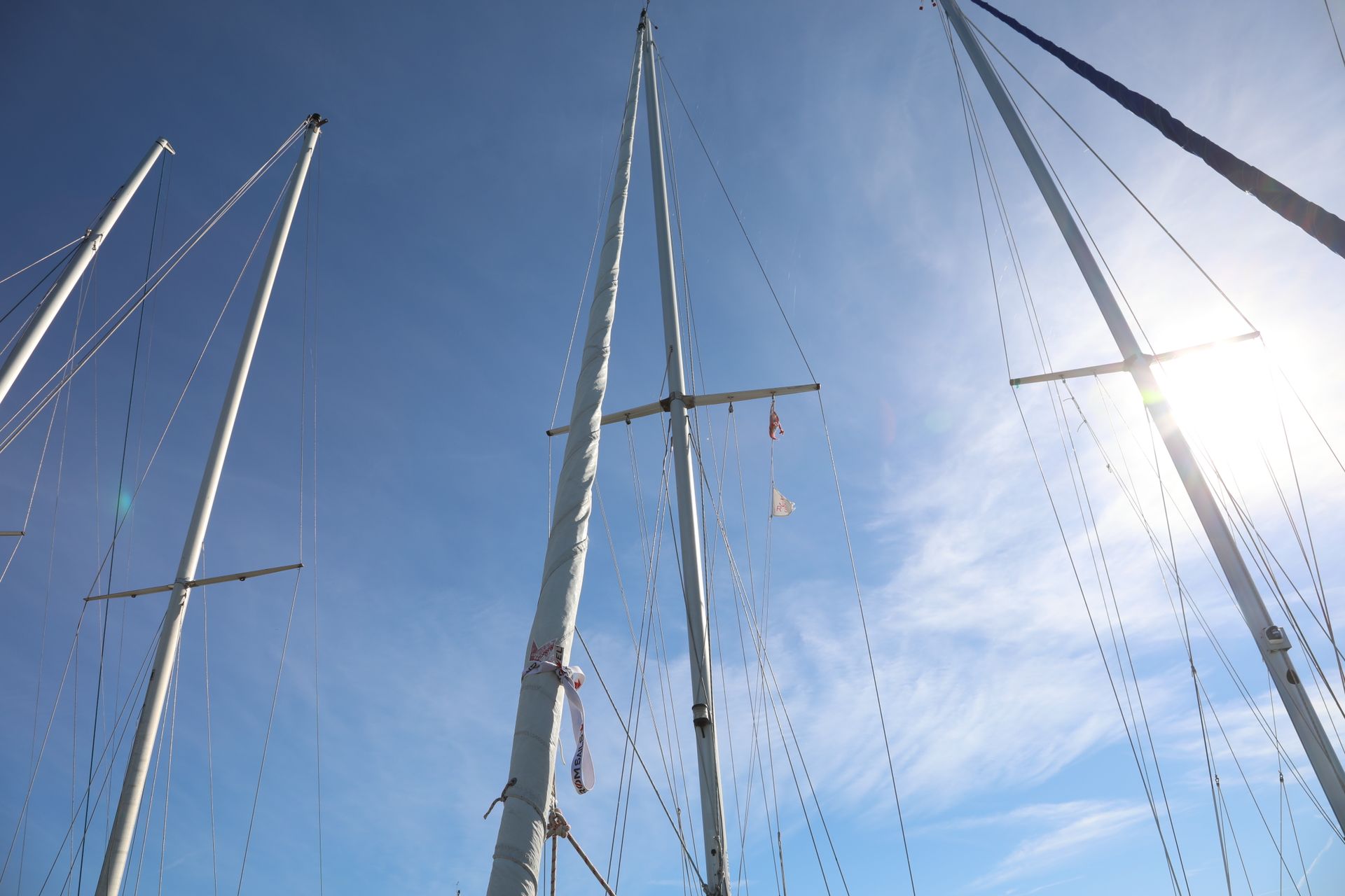 Solus 29 #45