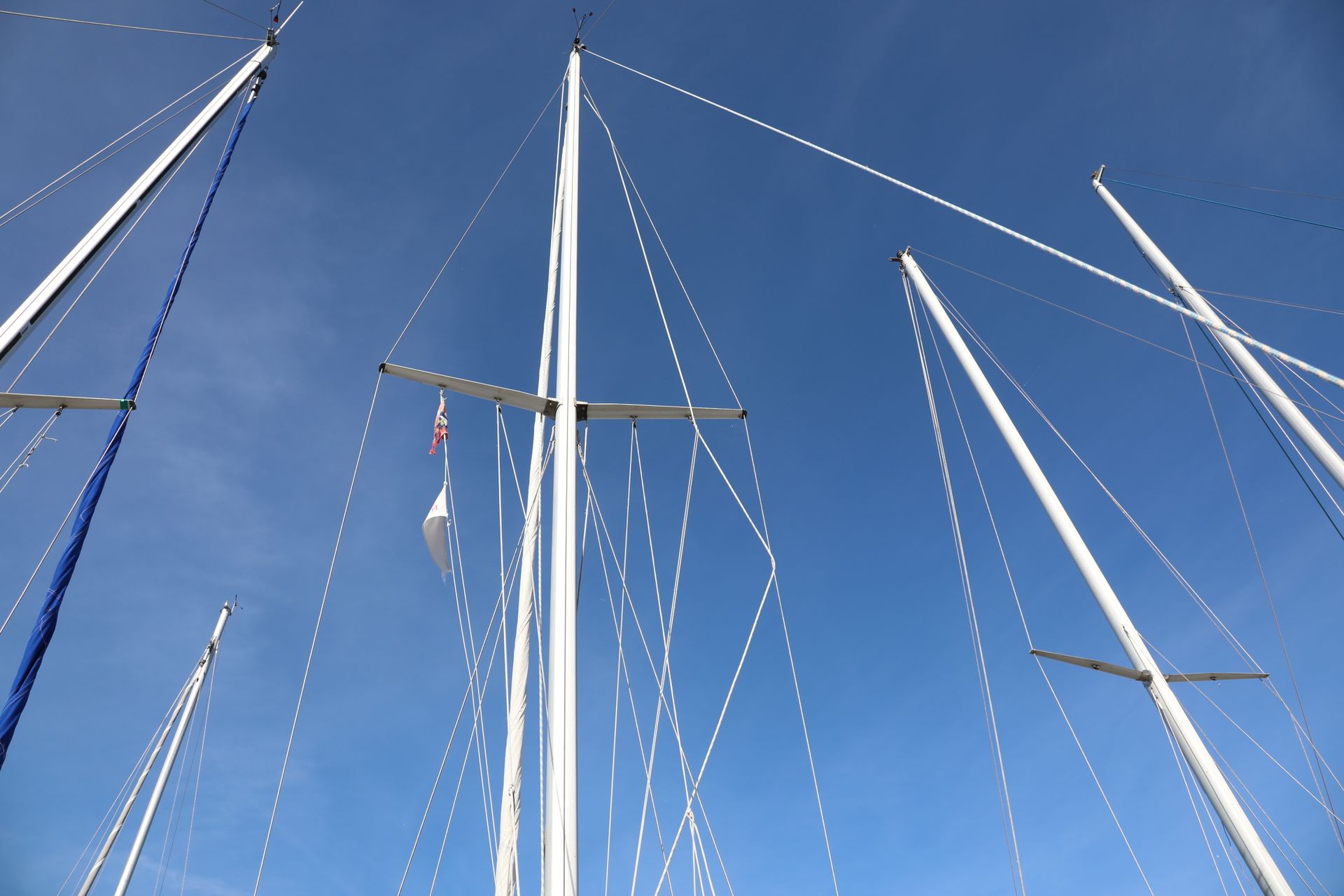 Solus 29 #14