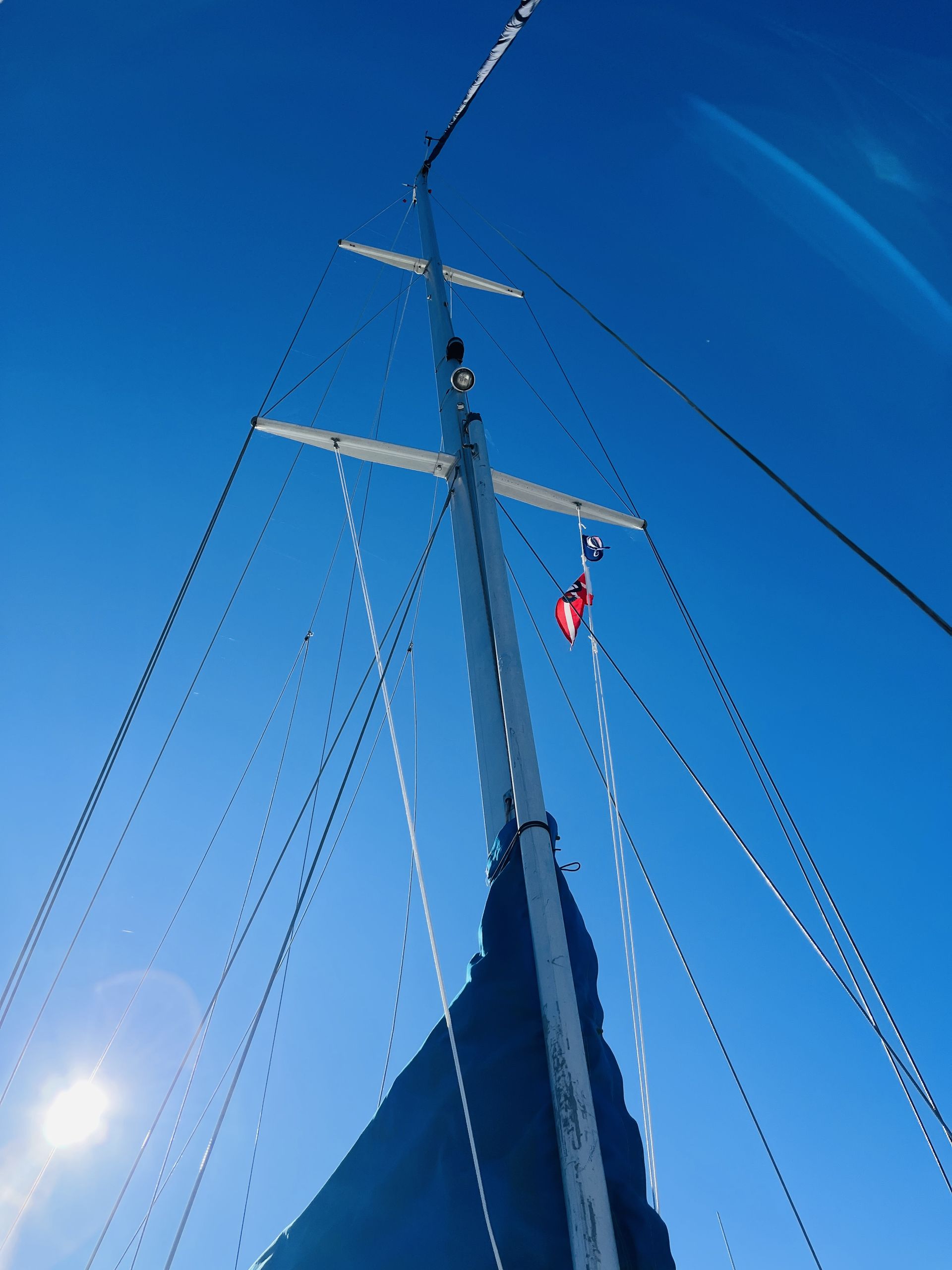 Aphrodite 34 #8