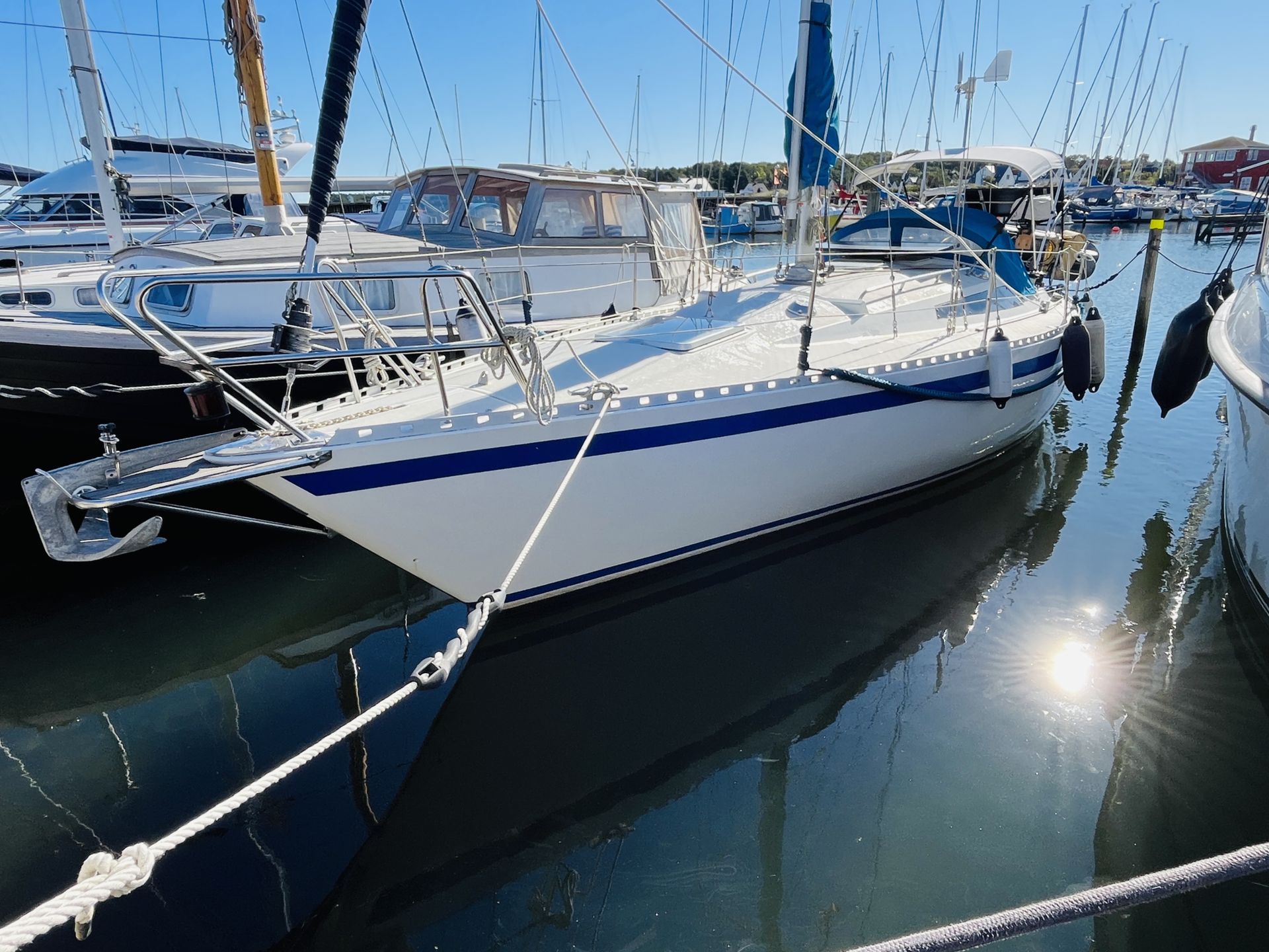 Aphrodite 34 #1