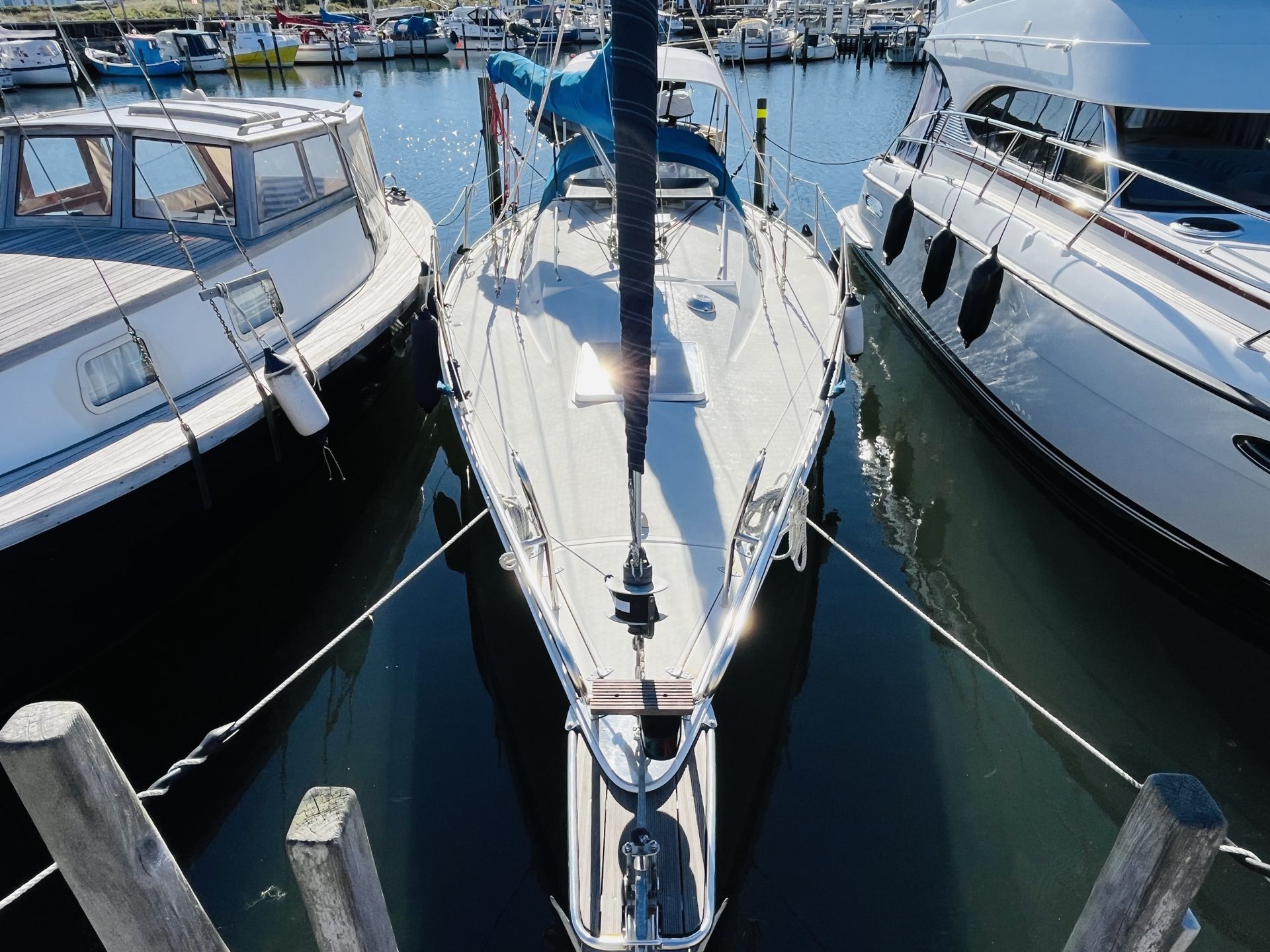 Aphrodite 34 #2