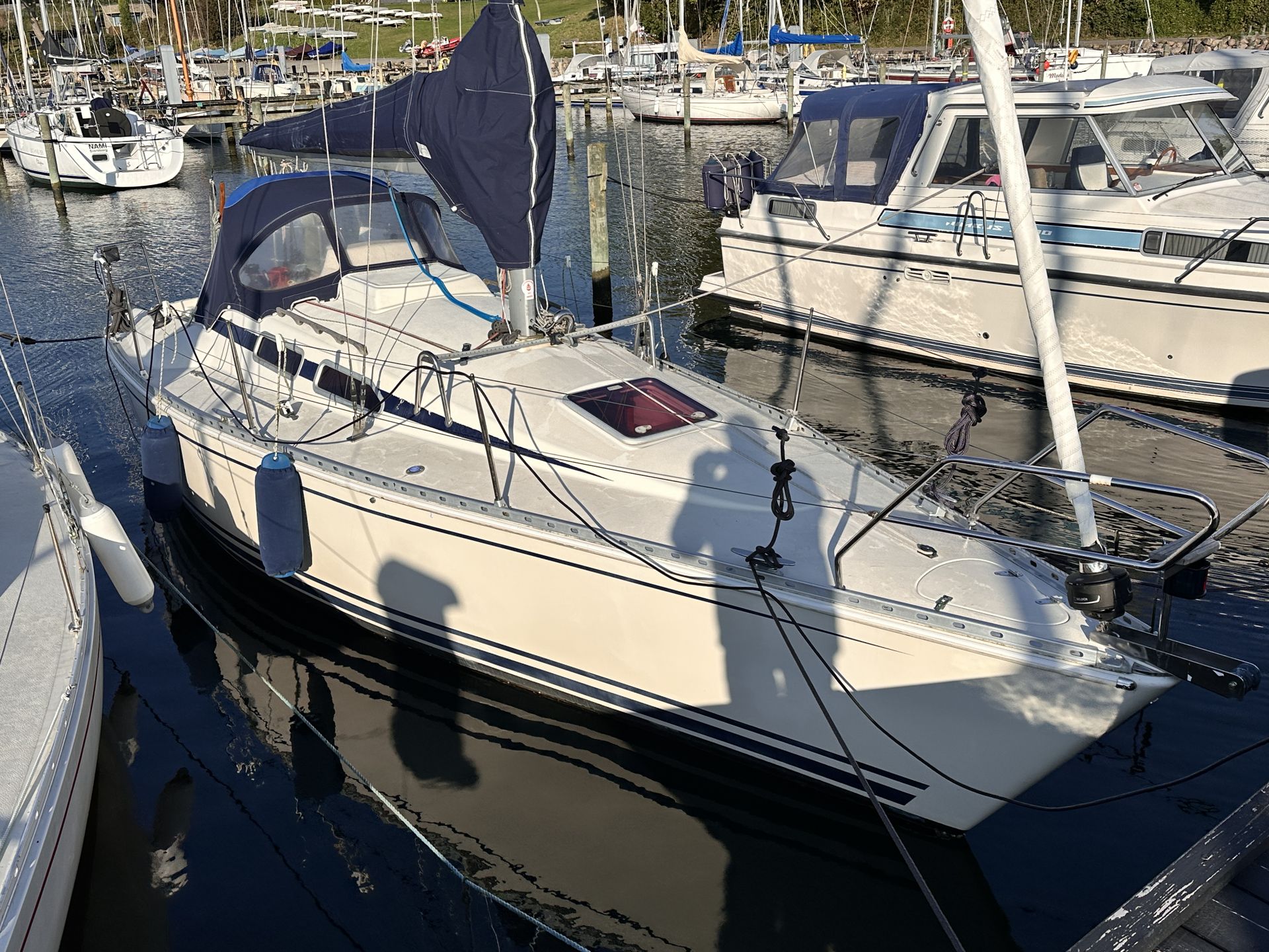 Hanse 300 #1