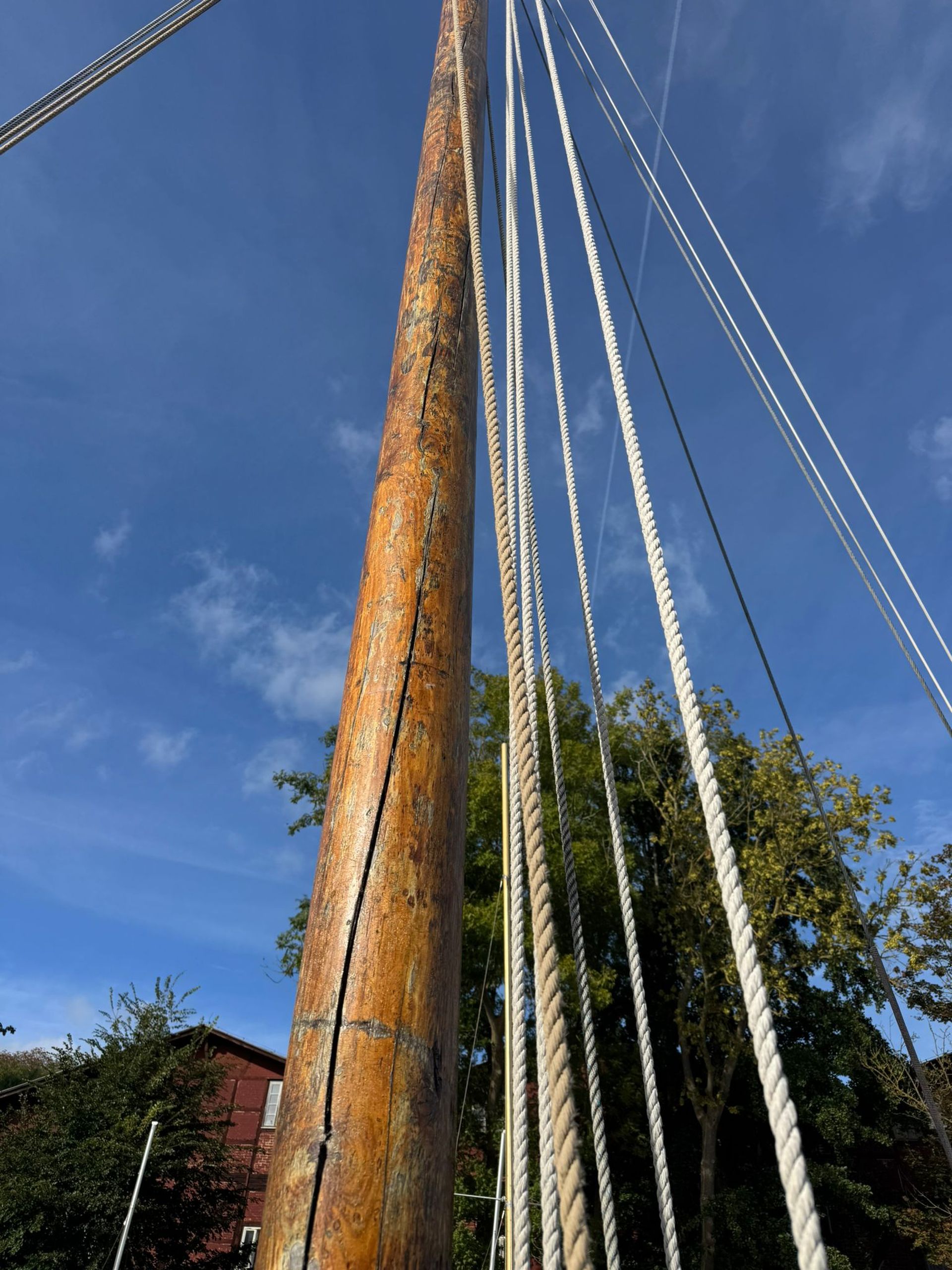Zeesboot „Swart Johann“ #10