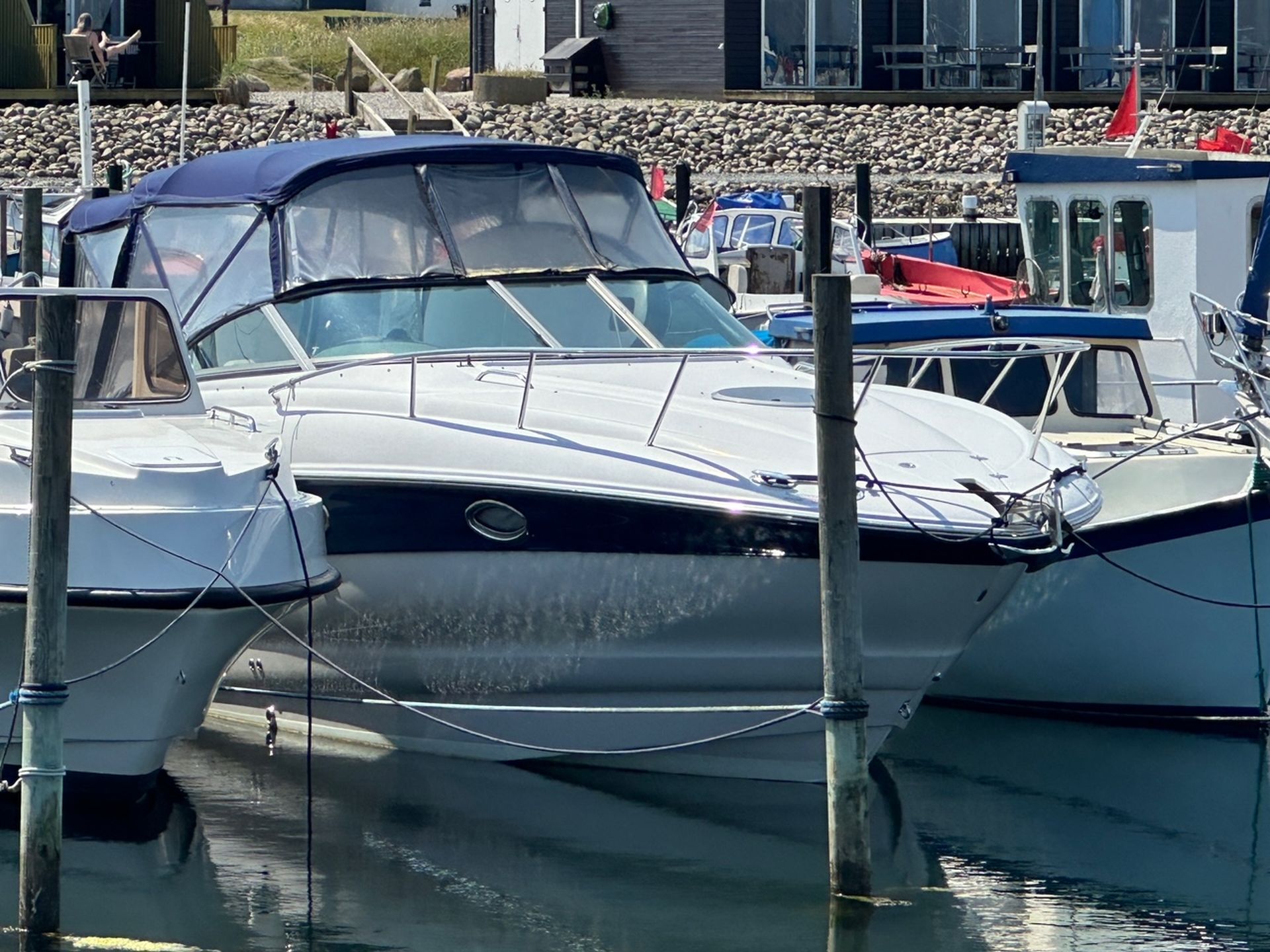 Crownline 270 CR #59