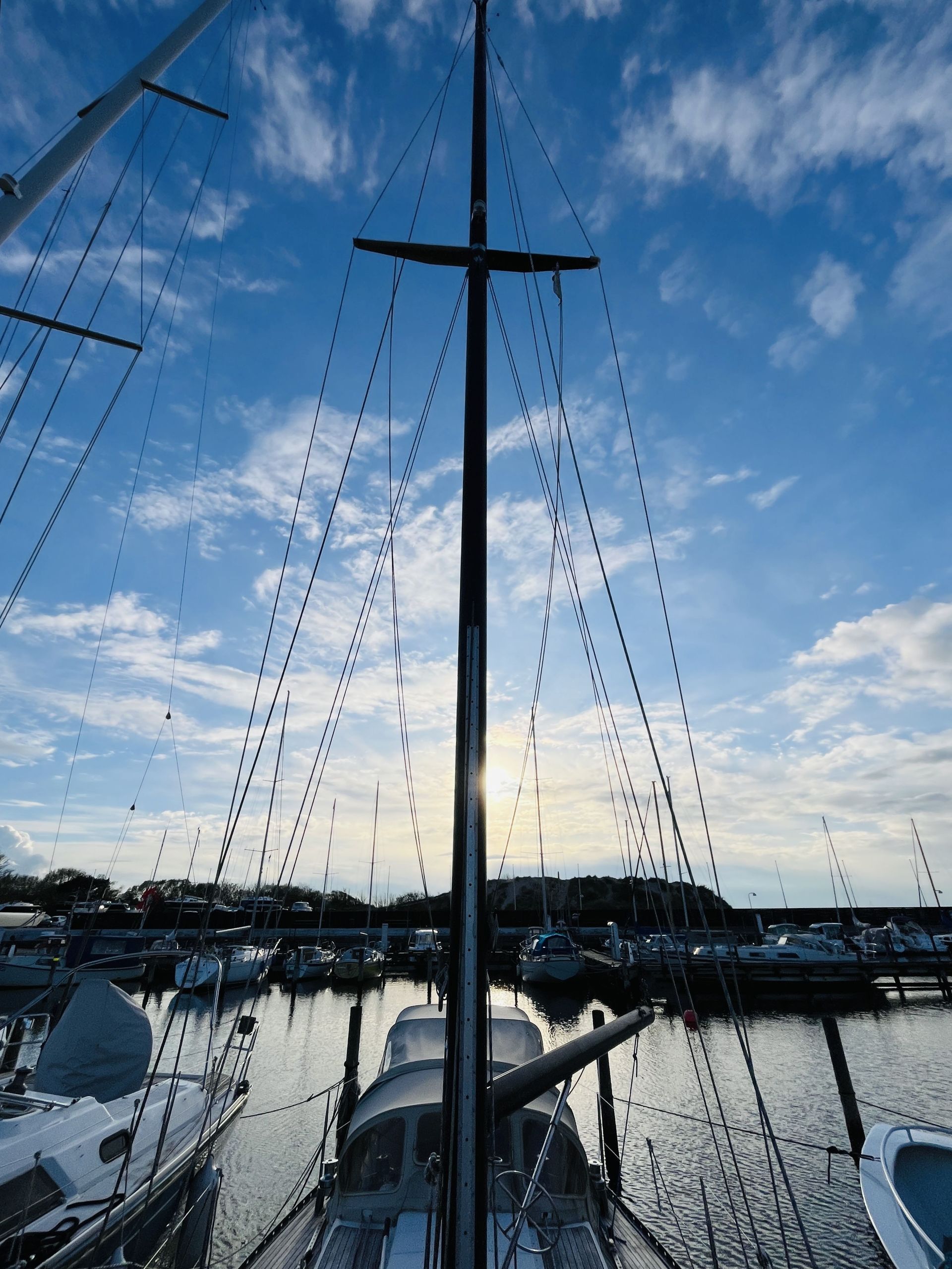 Thurø 33 "Silke" #65