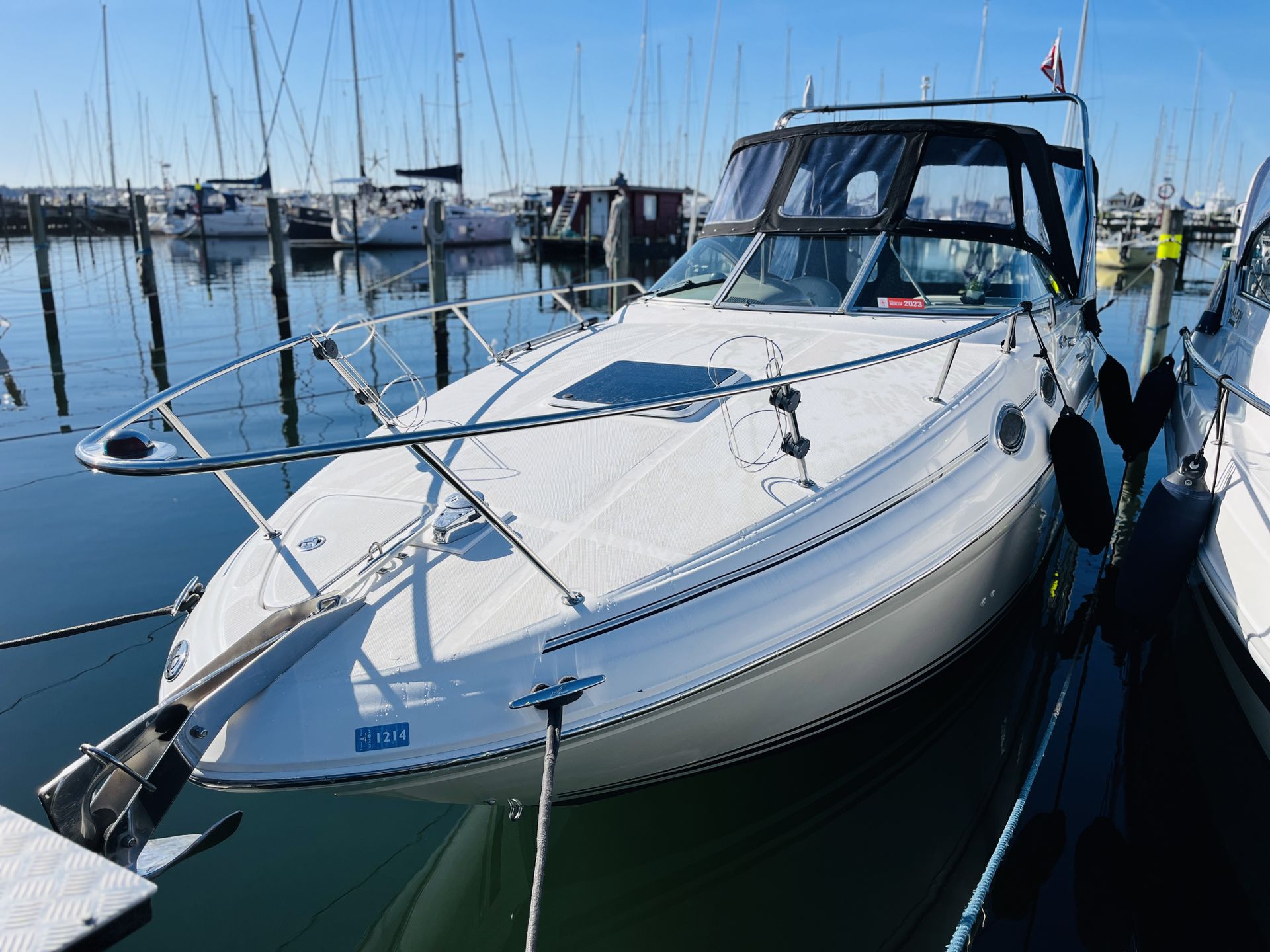 Sea Ray 260 Sundancer #3