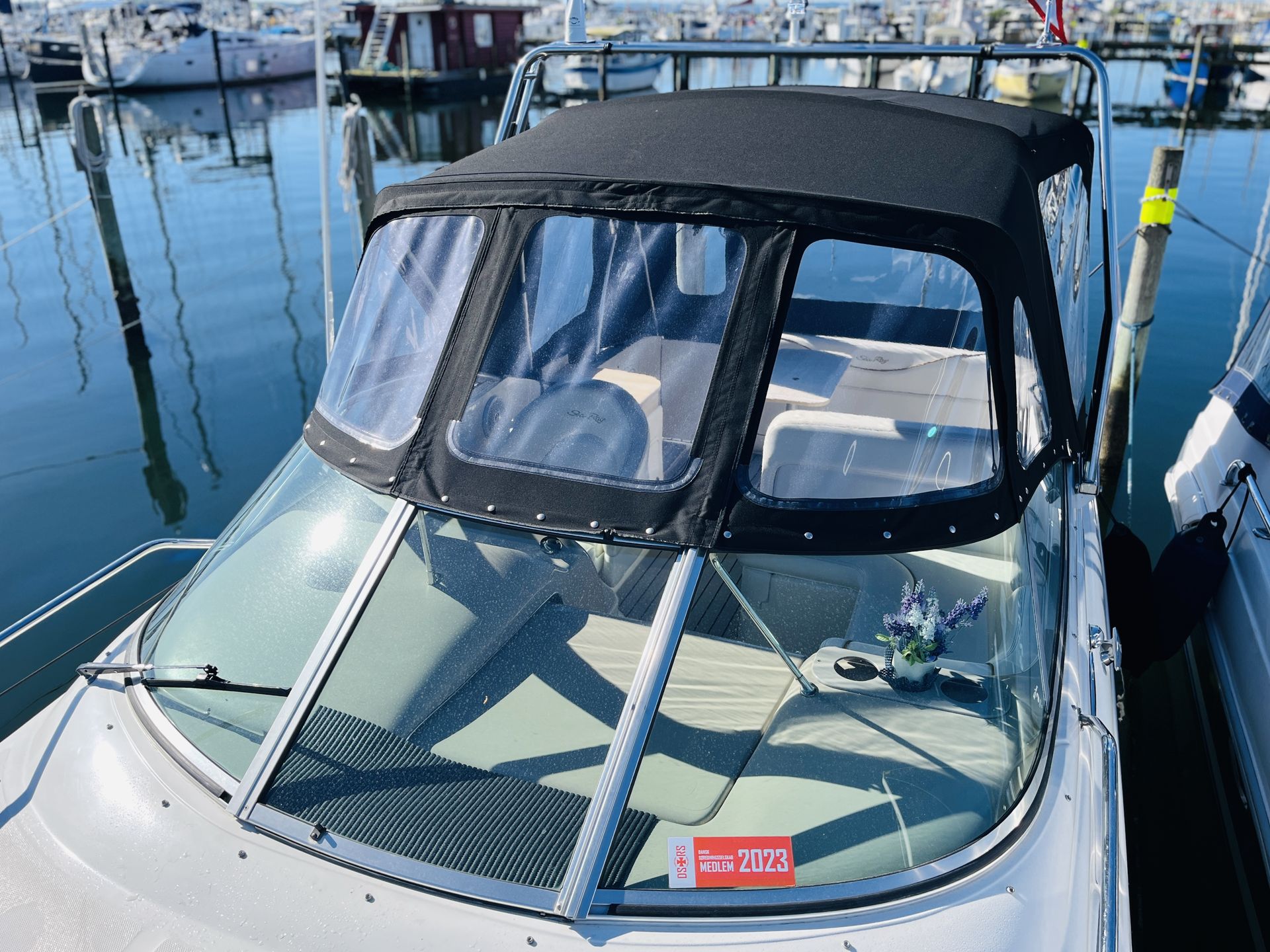 Sea Ray 260 Sundancer #7