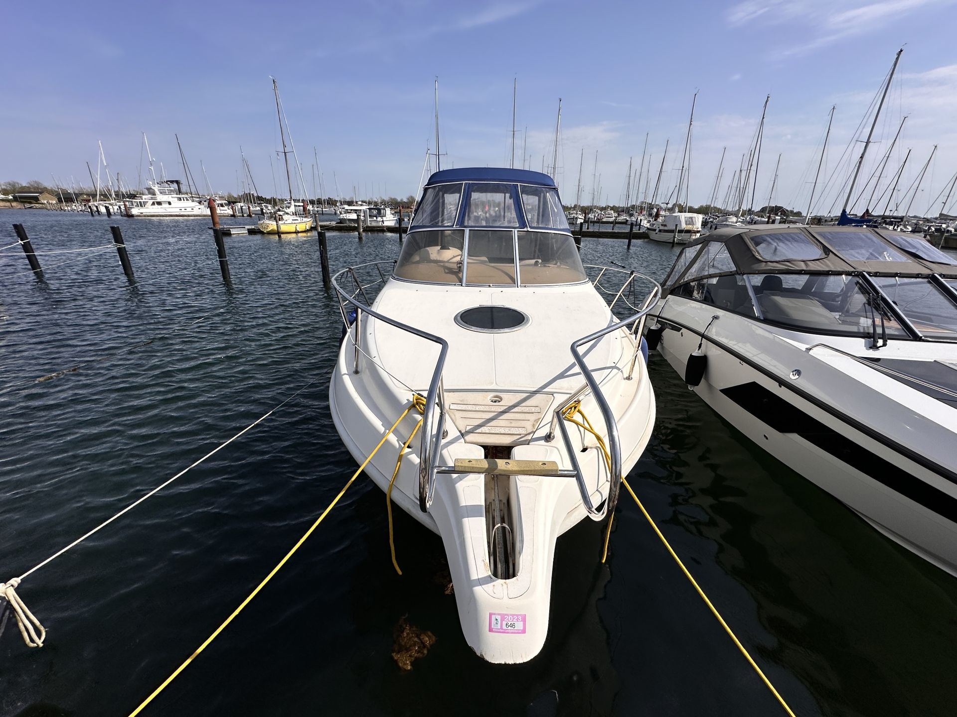 Cranchi Perla 25 #5