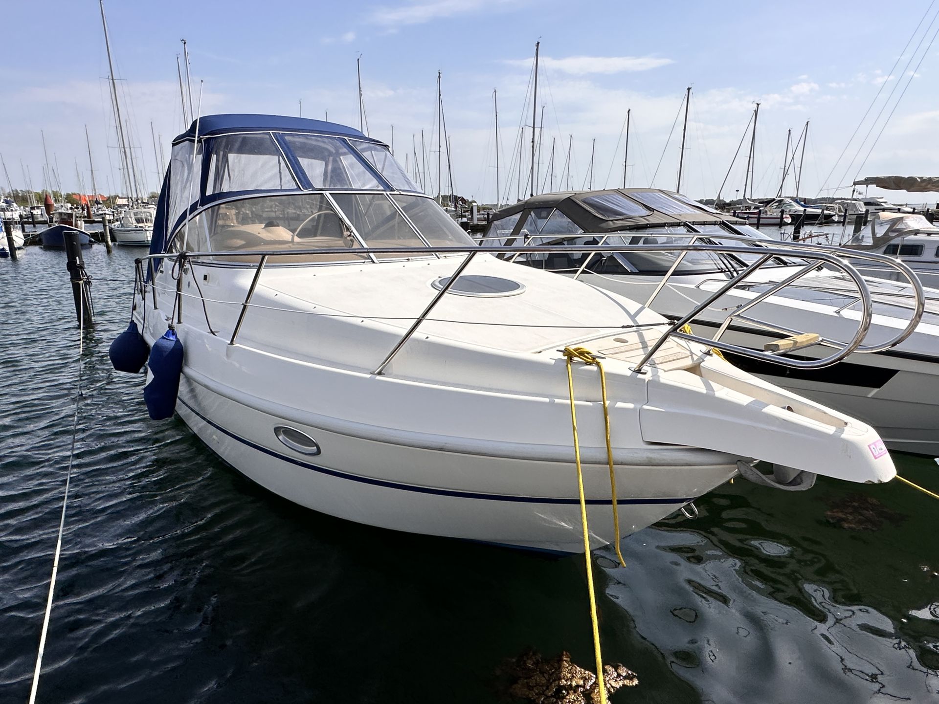 Cranchi Perla 25 #1