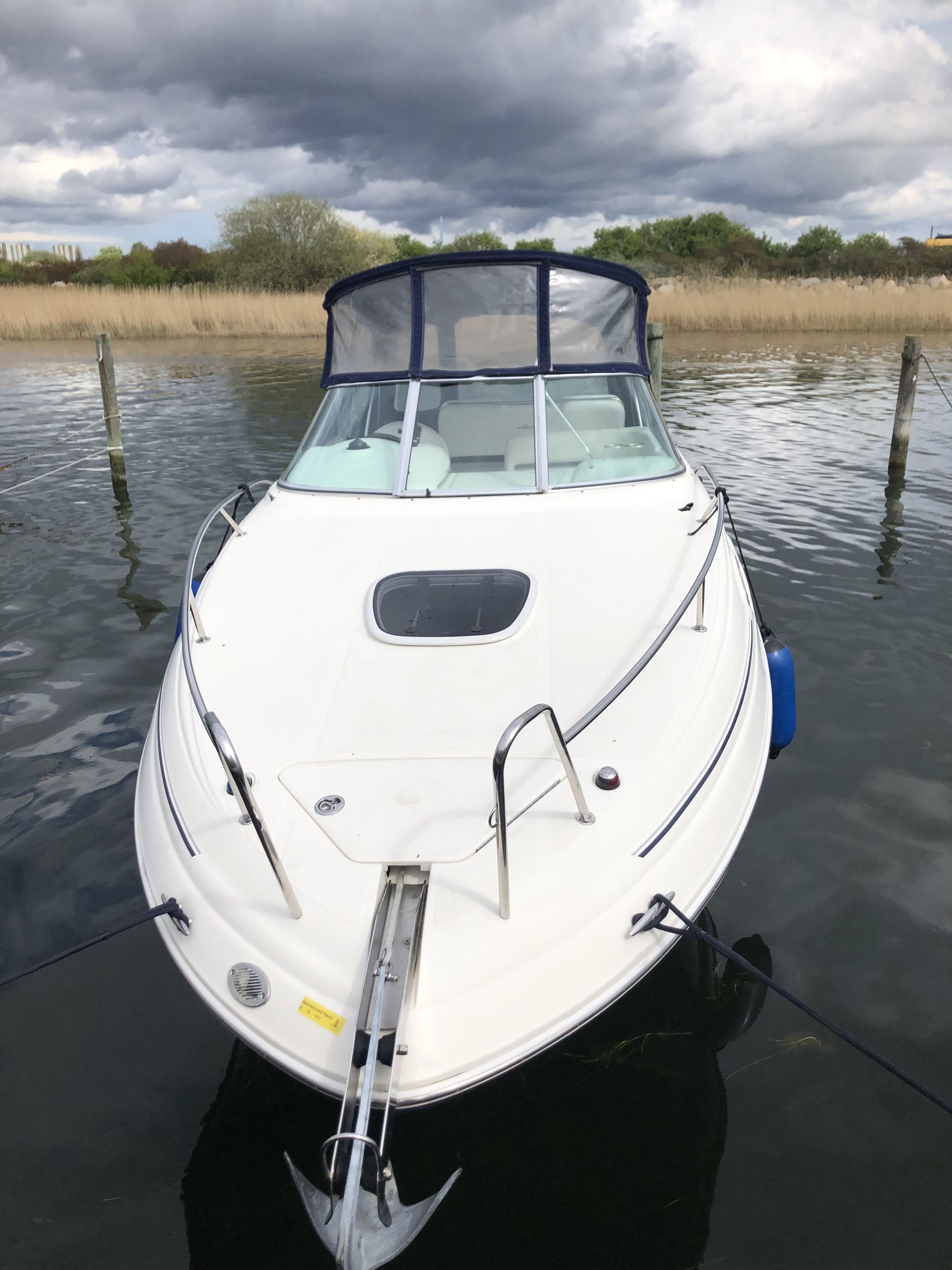 Sea Ray Sundancer 255 #23