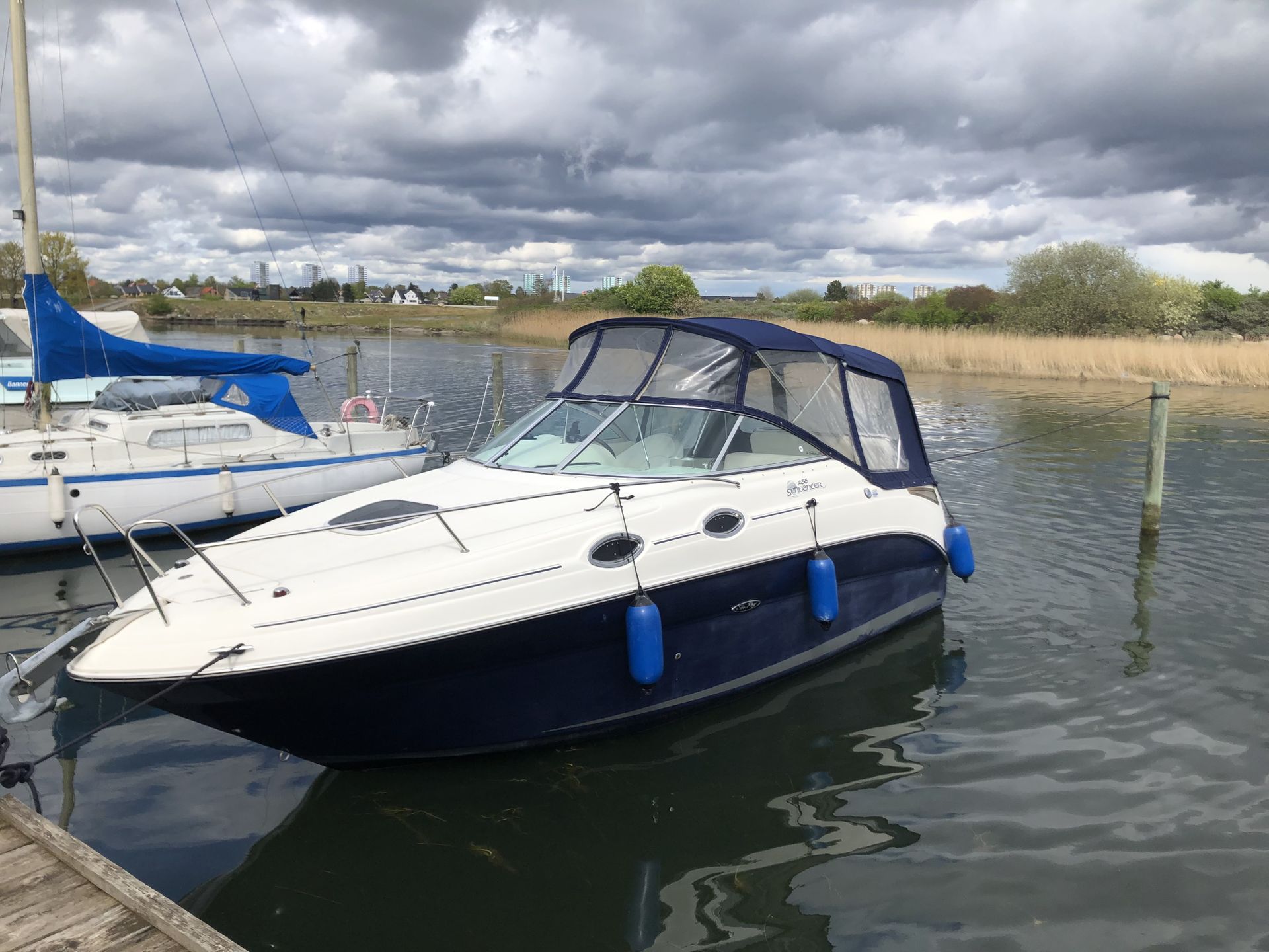 Sea Ray Sundancer 255 #24