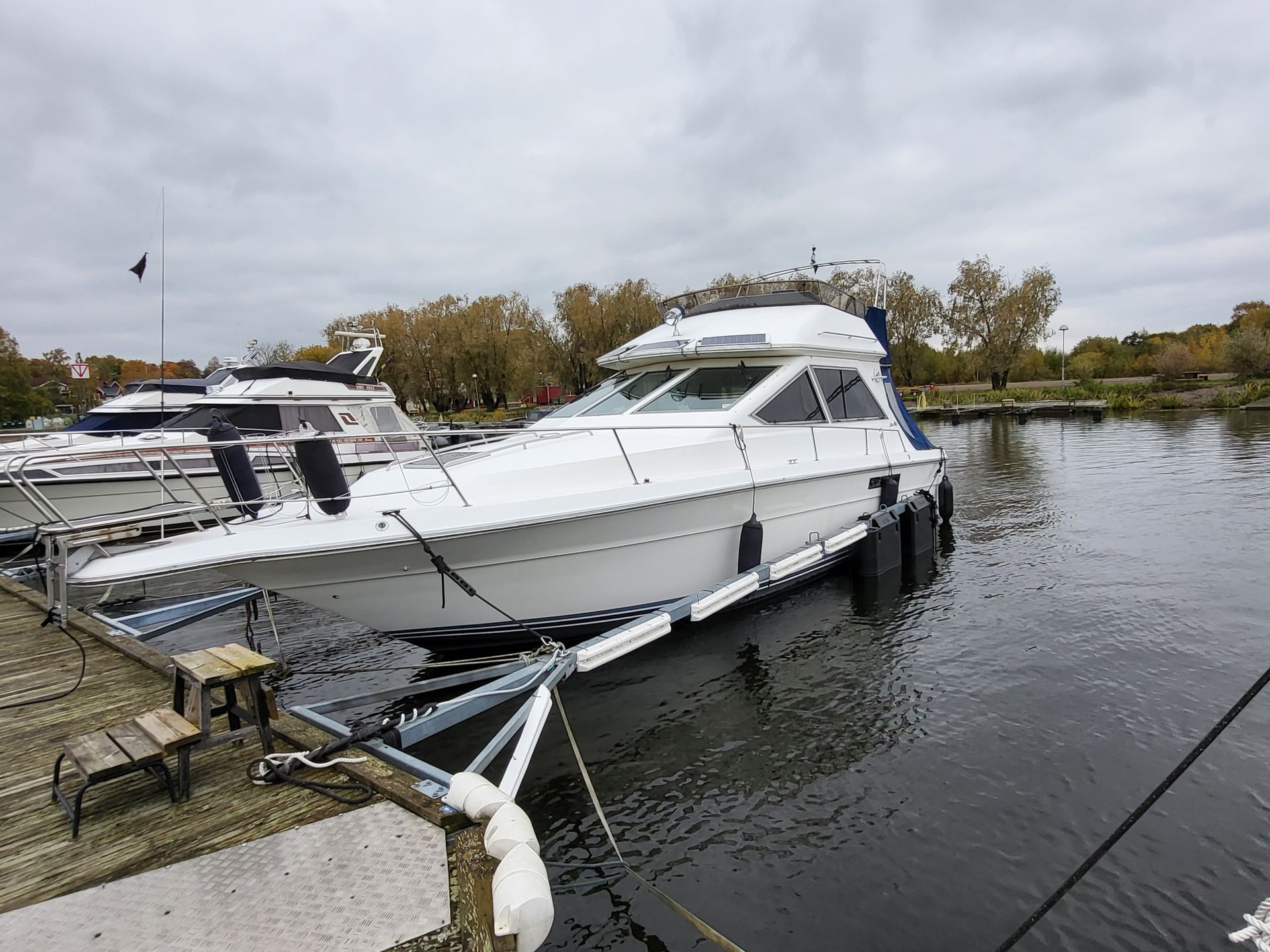 searay 345 Flybridge #3