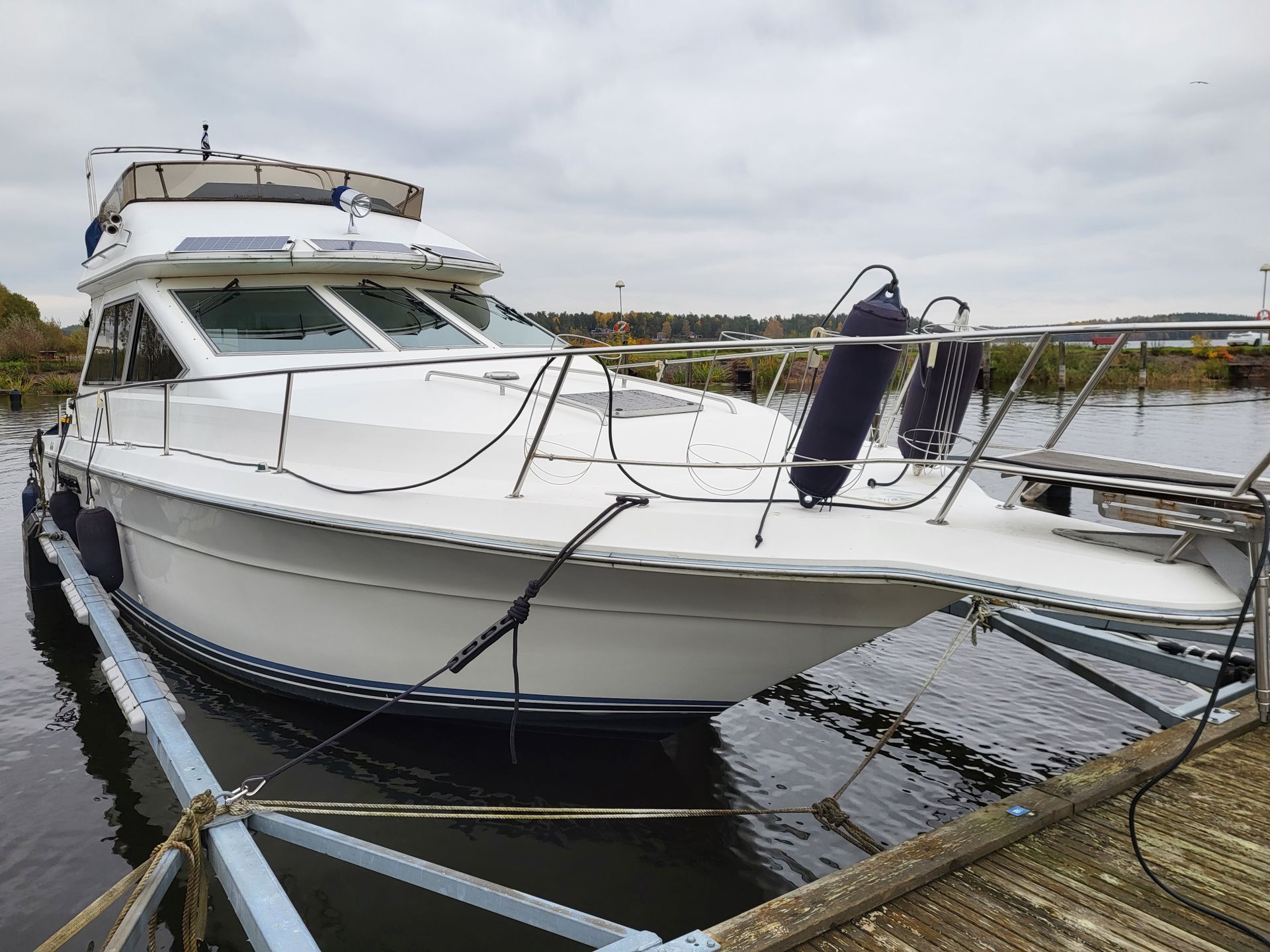 searay 345 Flybridge #2