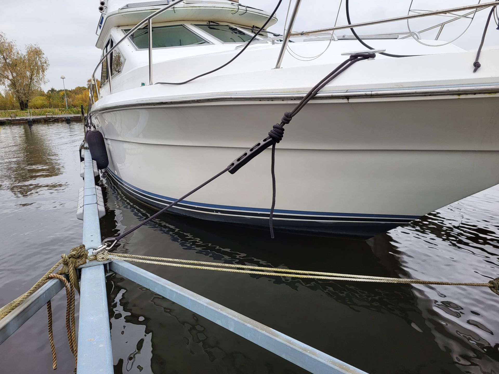 searay 345 Flybridge #6