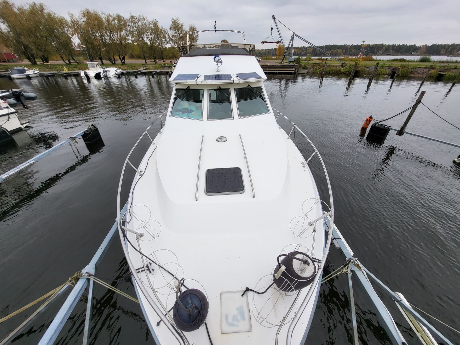 searay 345 Flybridge #8