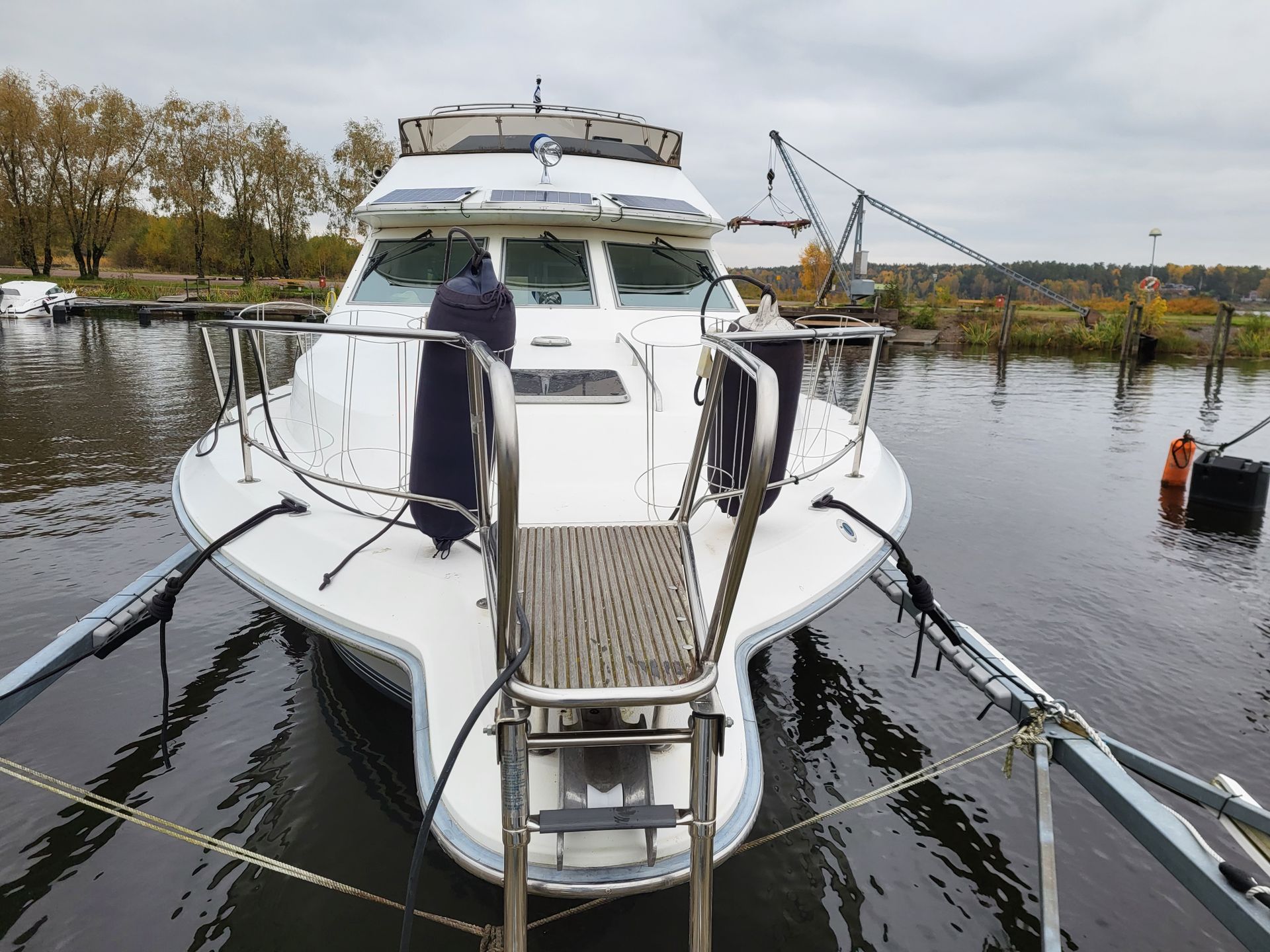 searay 345 Flybridge #5