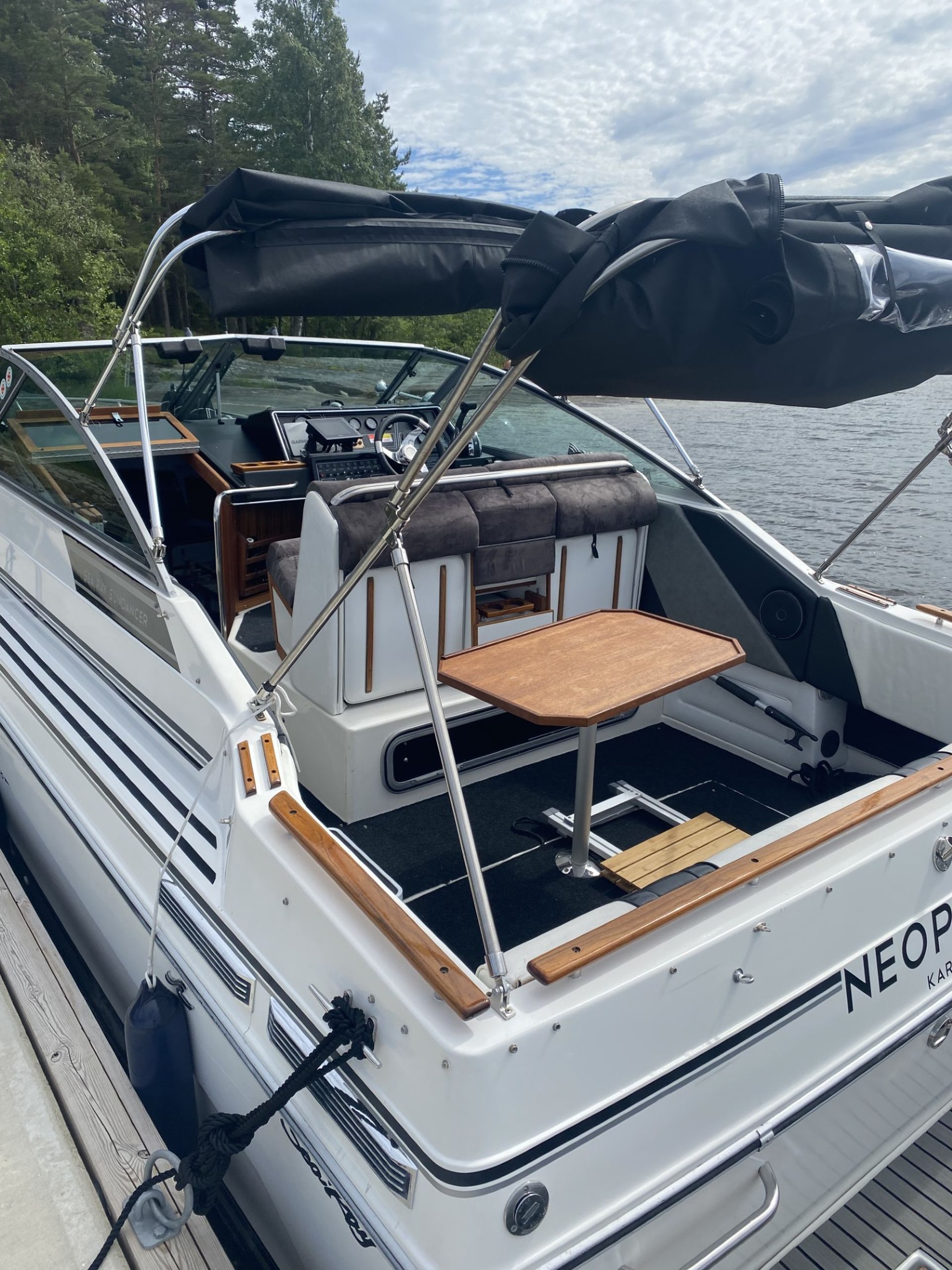 Searay 268 Sundancer #5