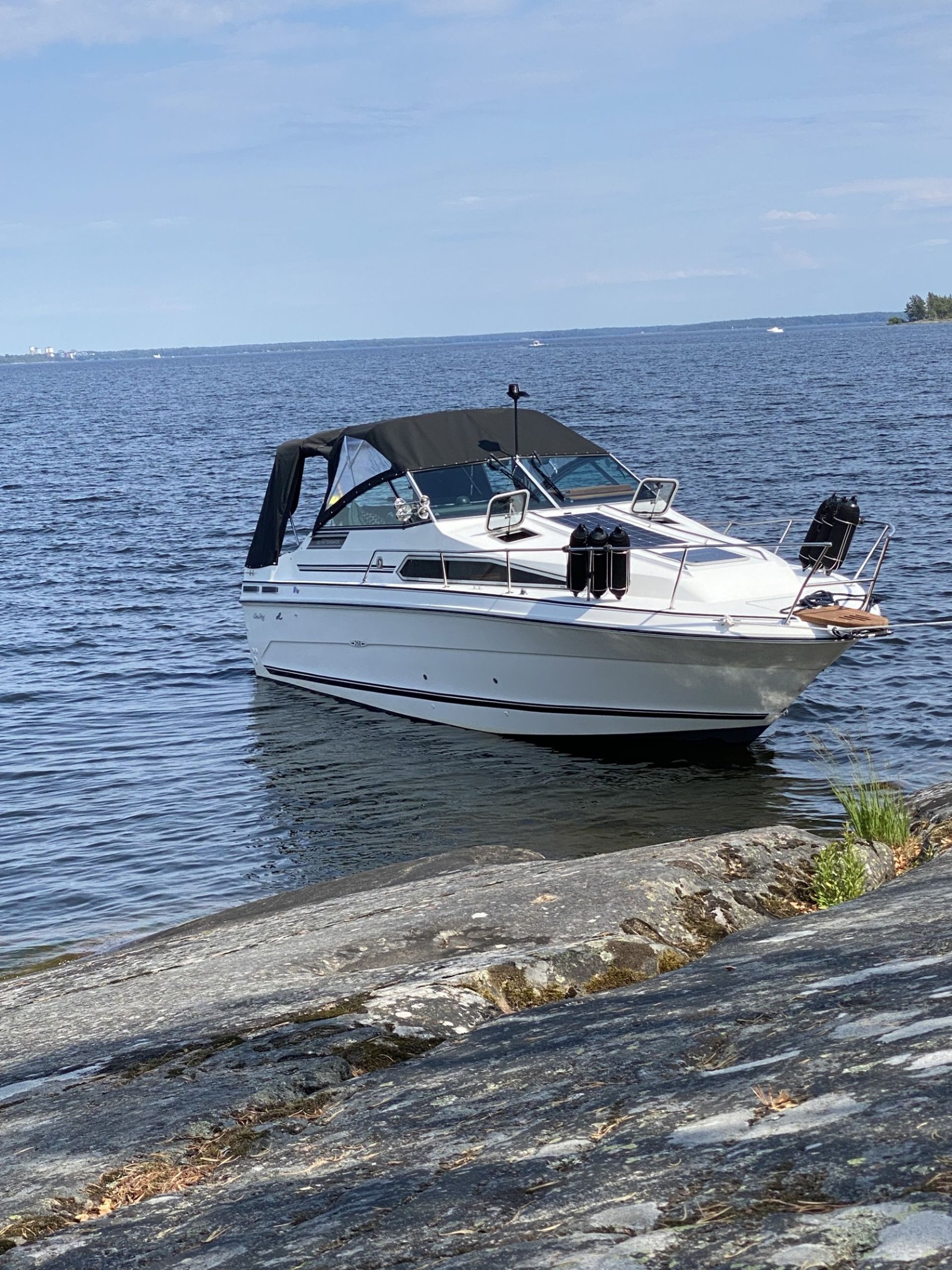 Searay 268 Sundancer #4