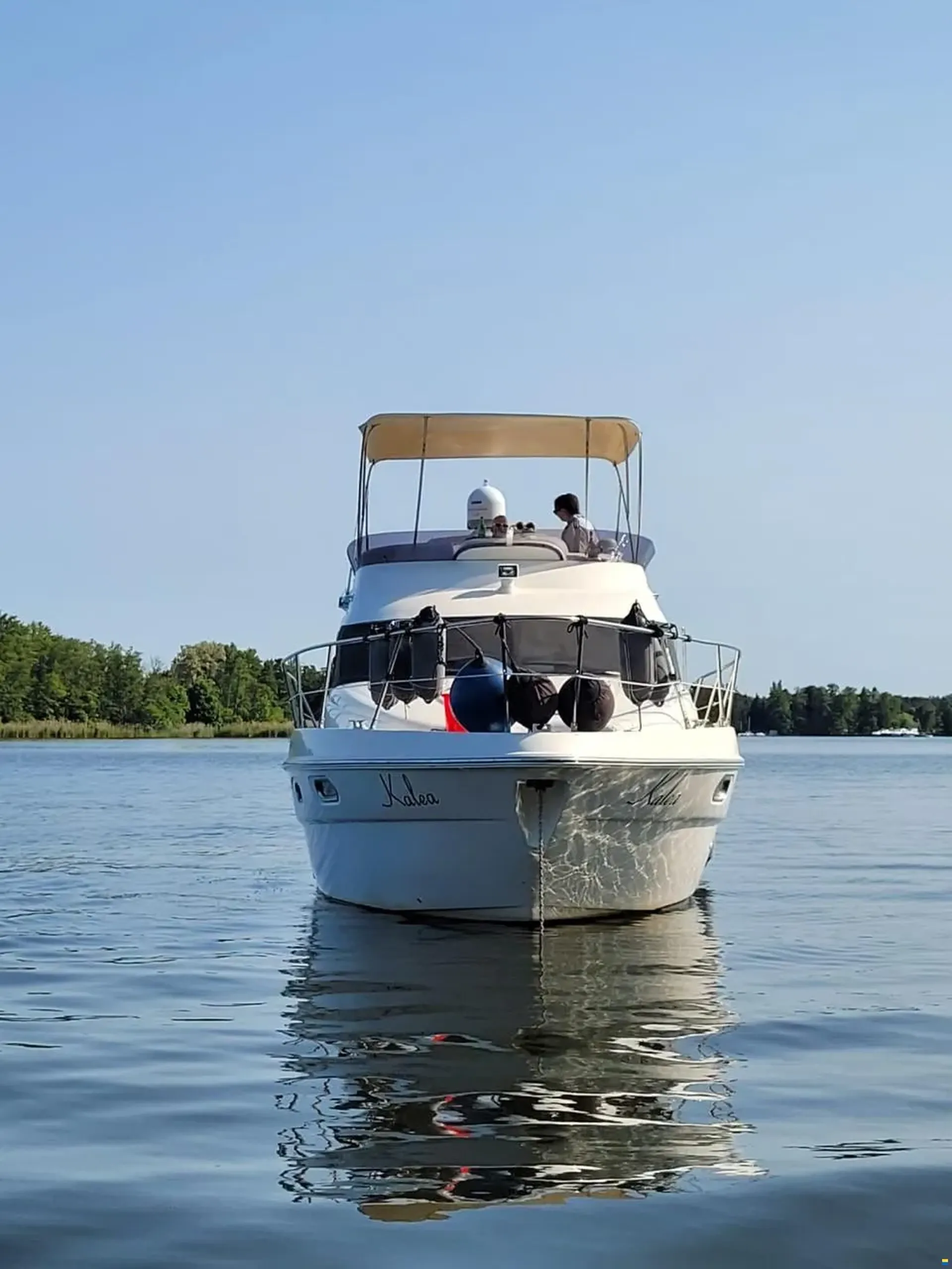Sealine F37 Flybridge #2
