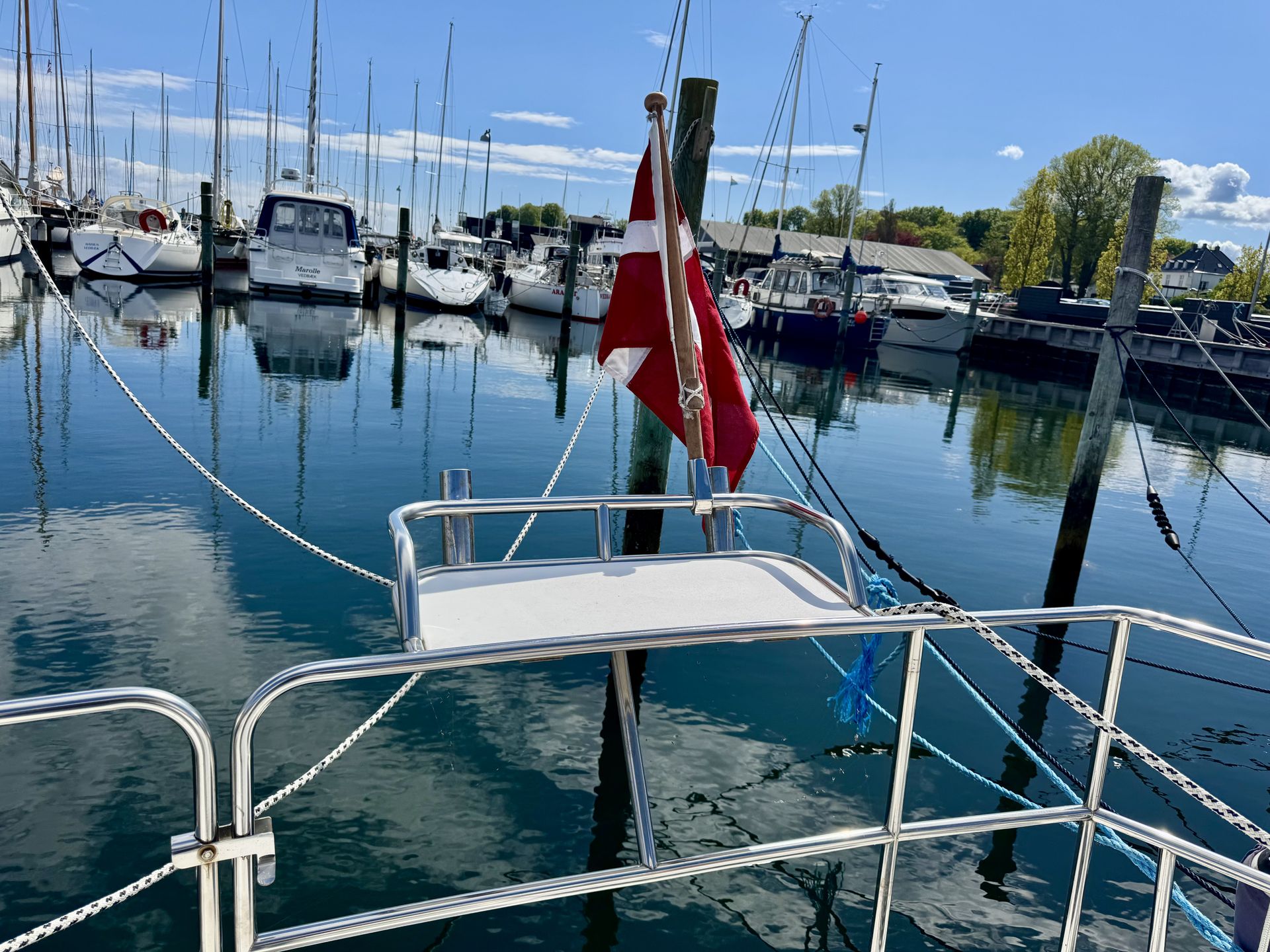 Hæk med grillplads og flag