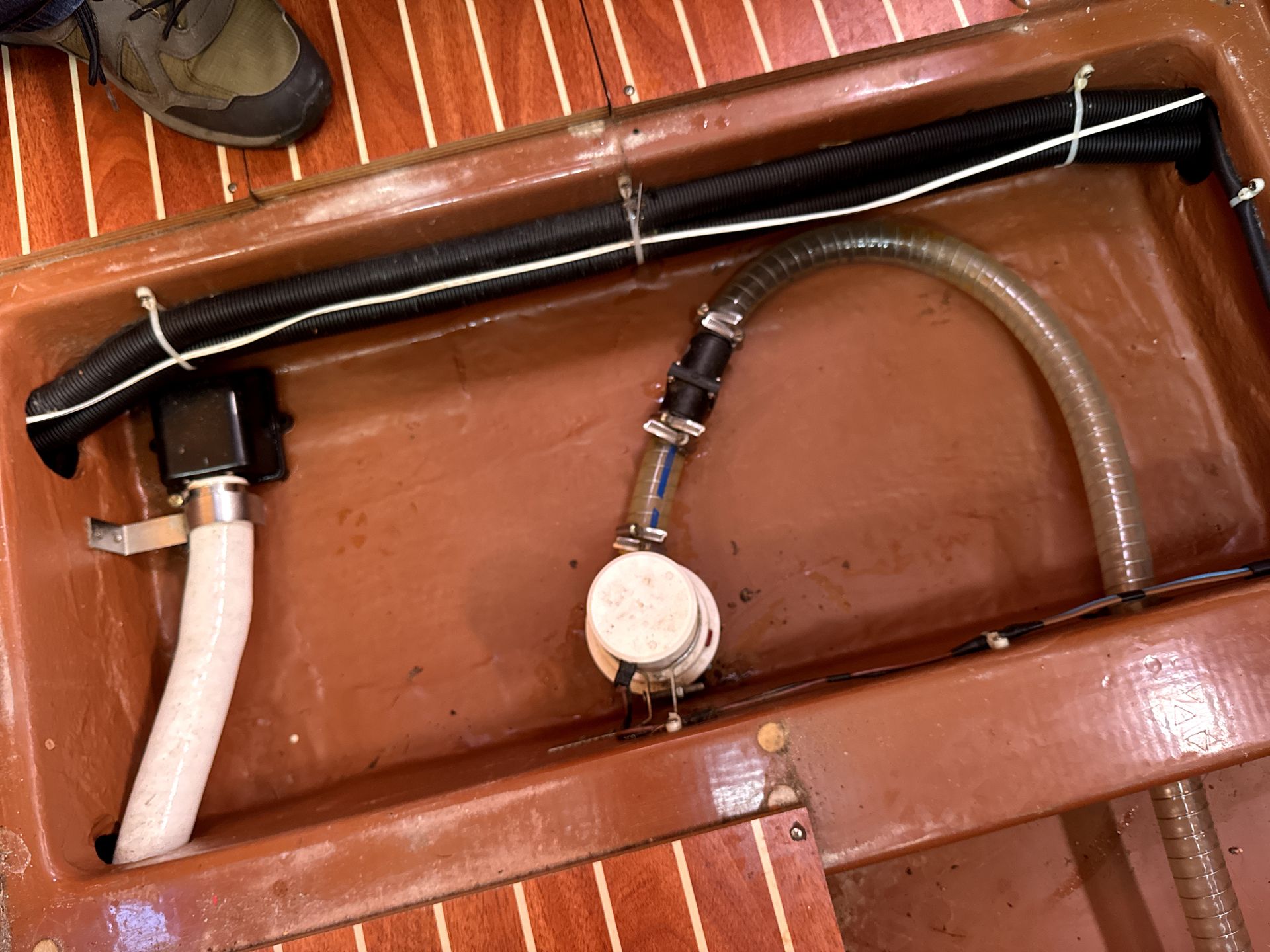 Bavaria 32 #51