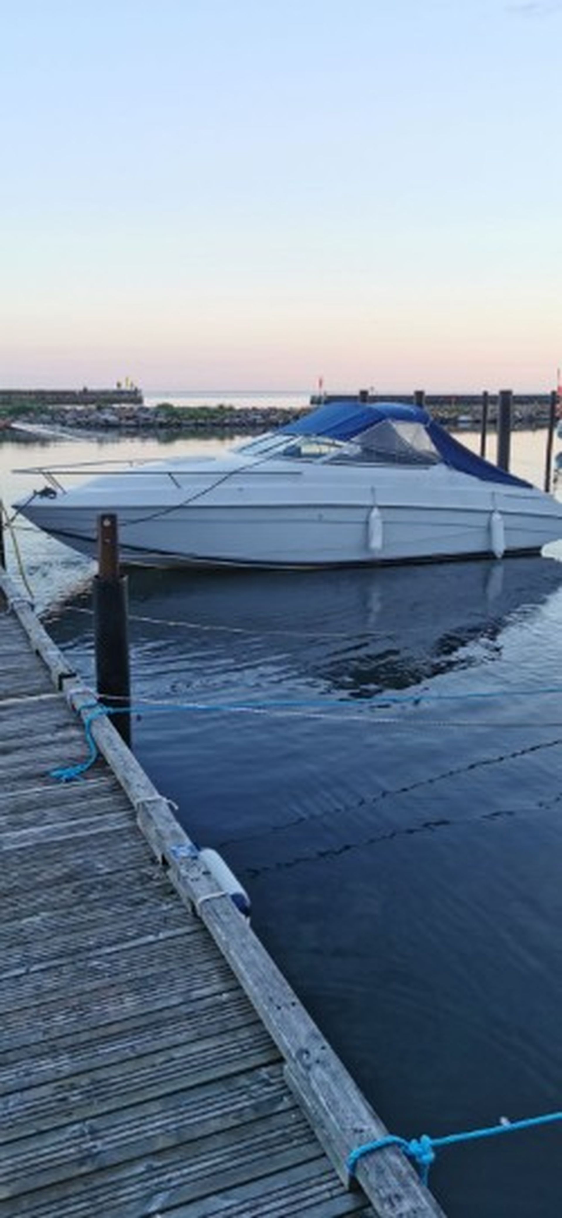 Chris Craft 228 Concept #16