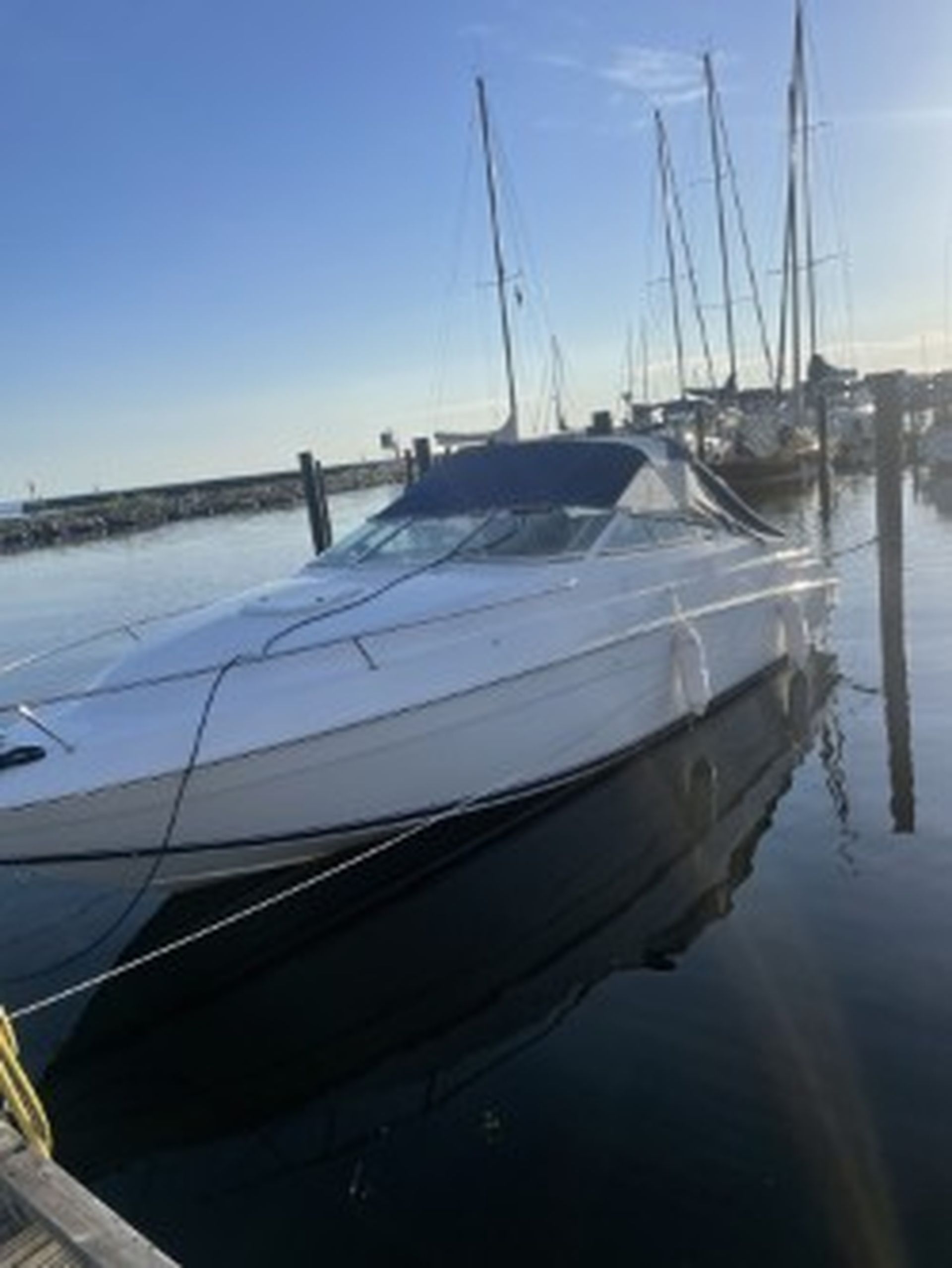 Chris Craft 228 Concept #17