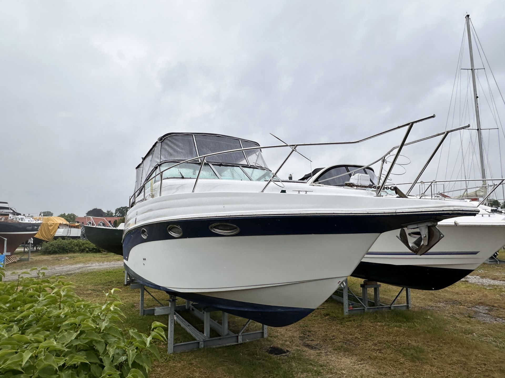 Crownline 290 CR #4