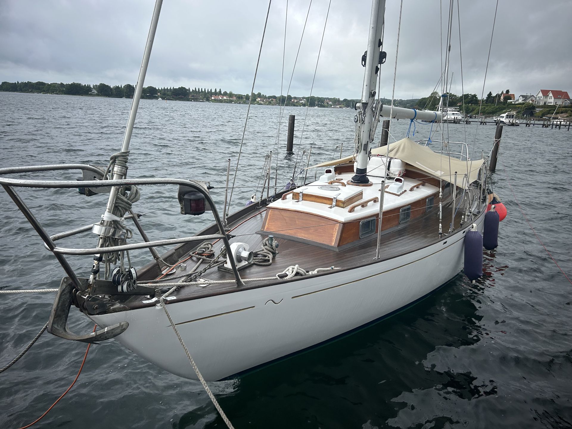 Buchanan 37 #29