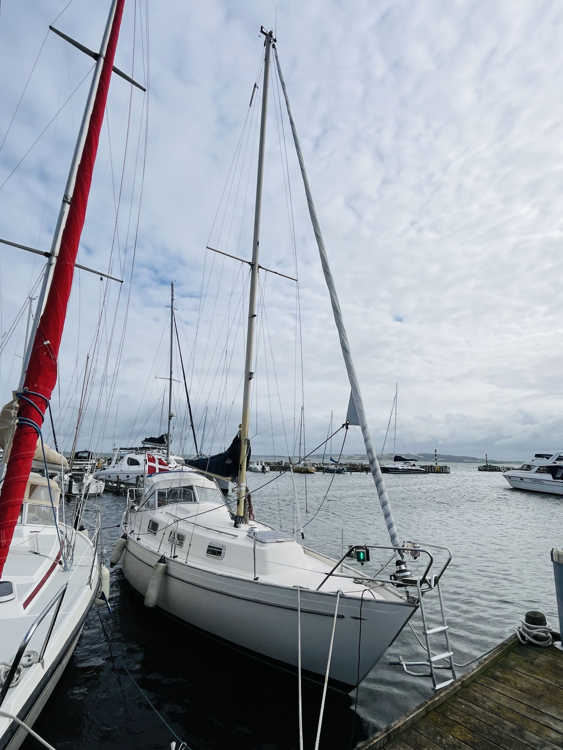 Hallberg-Rassy Monsun 31 #7