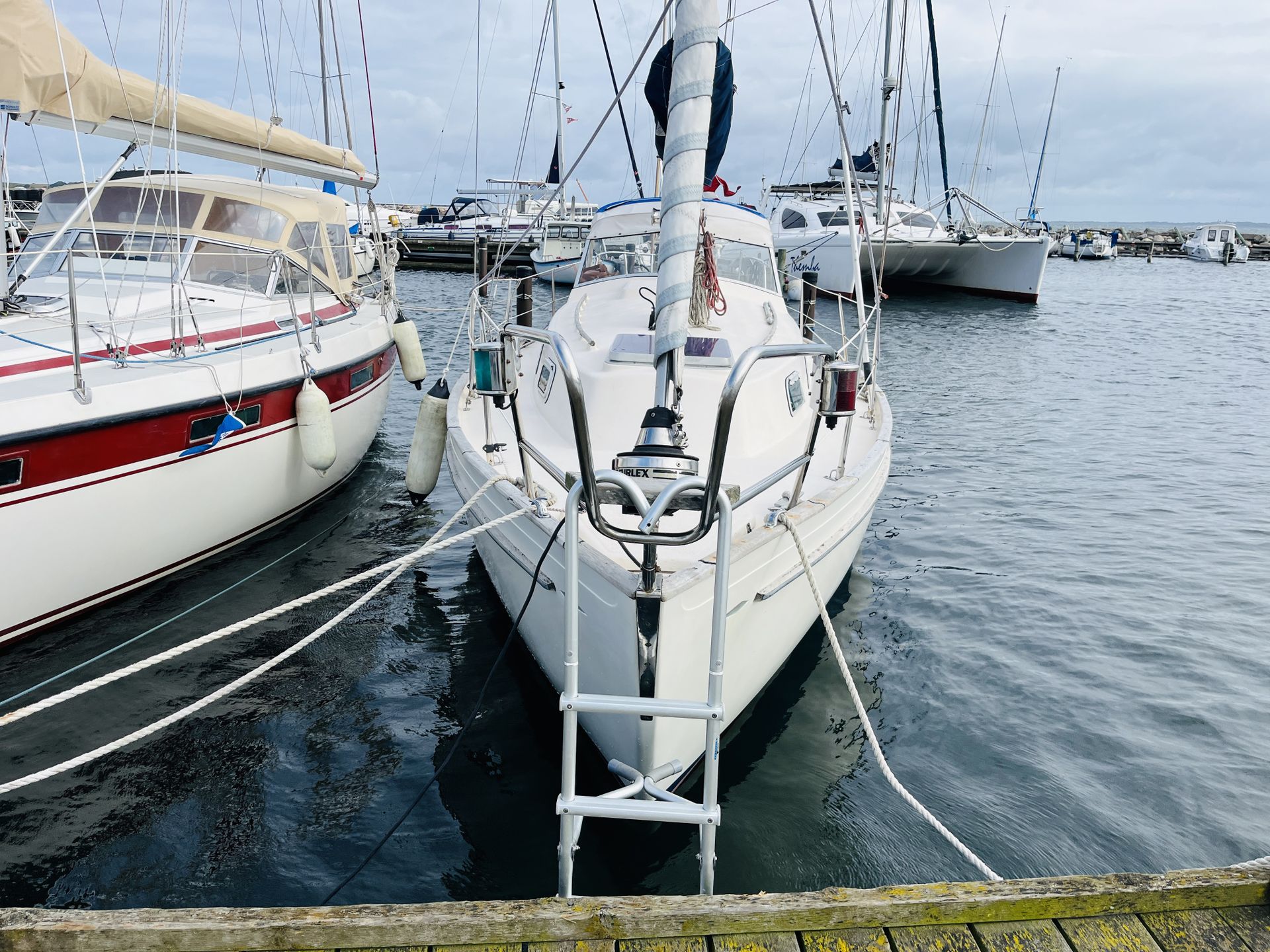 Hallberg-Rassy Monsun 31 #2