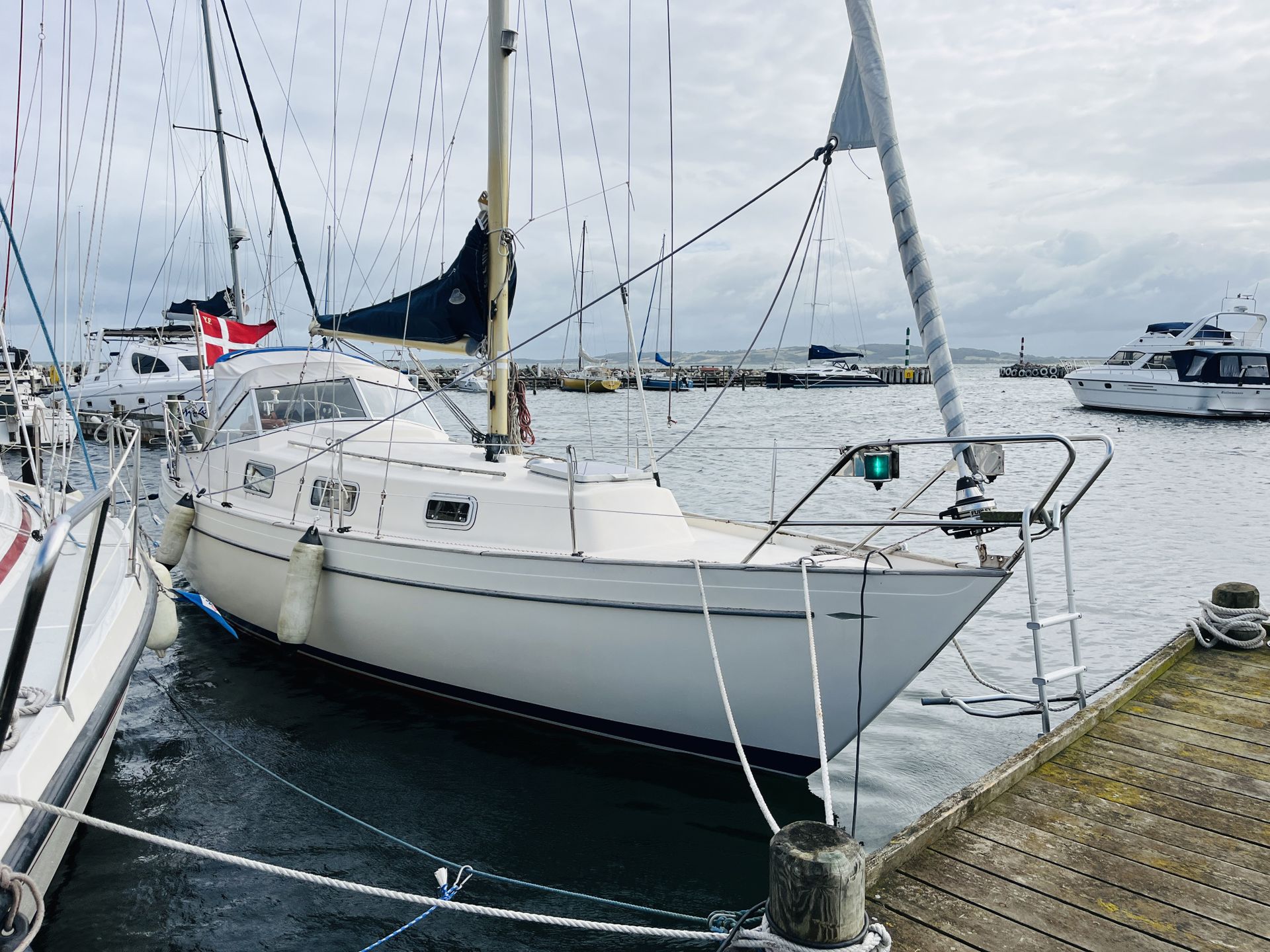 Hallberg-Rassy Monsun 31 #1