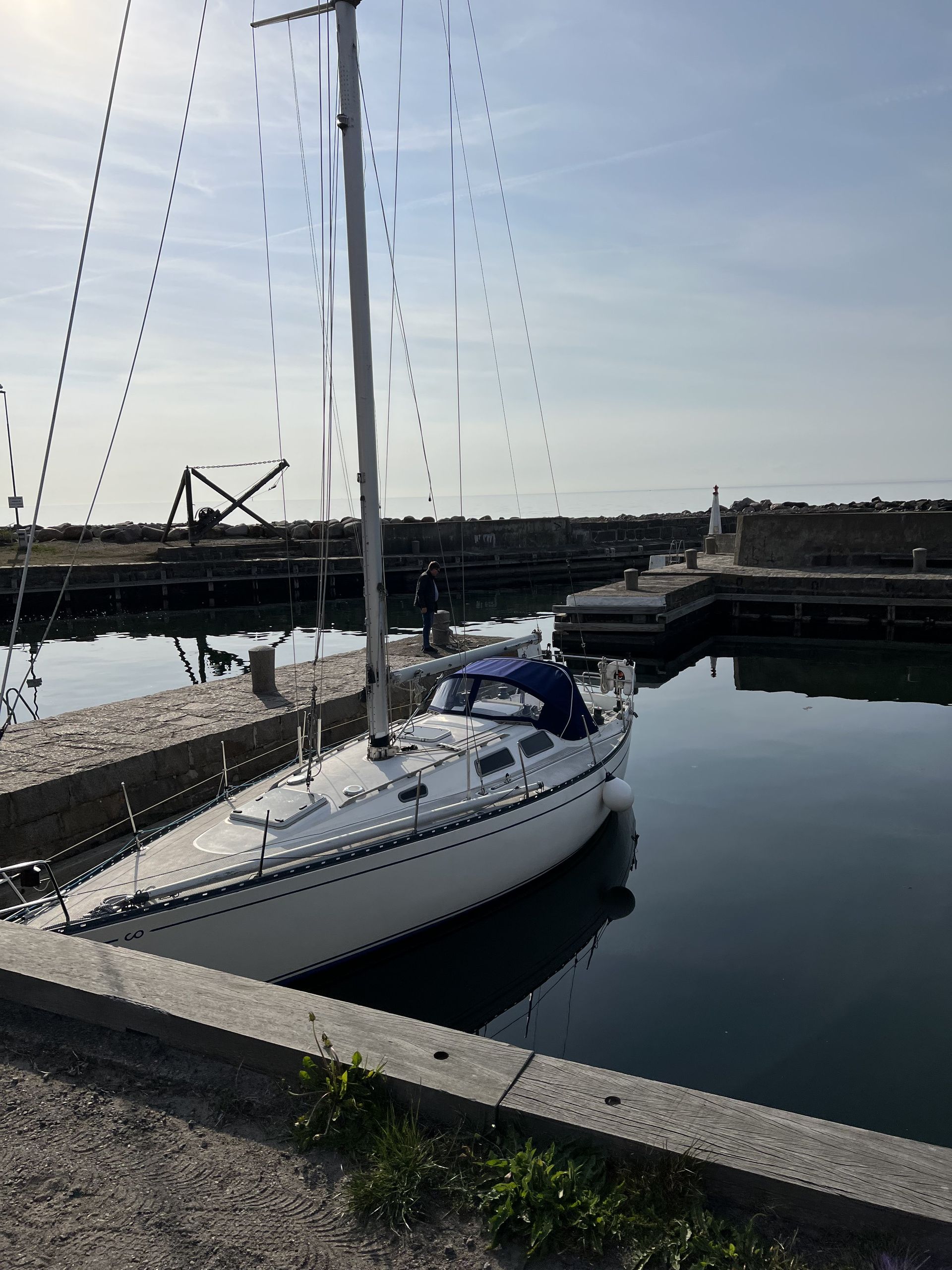 Contessa 35 #7