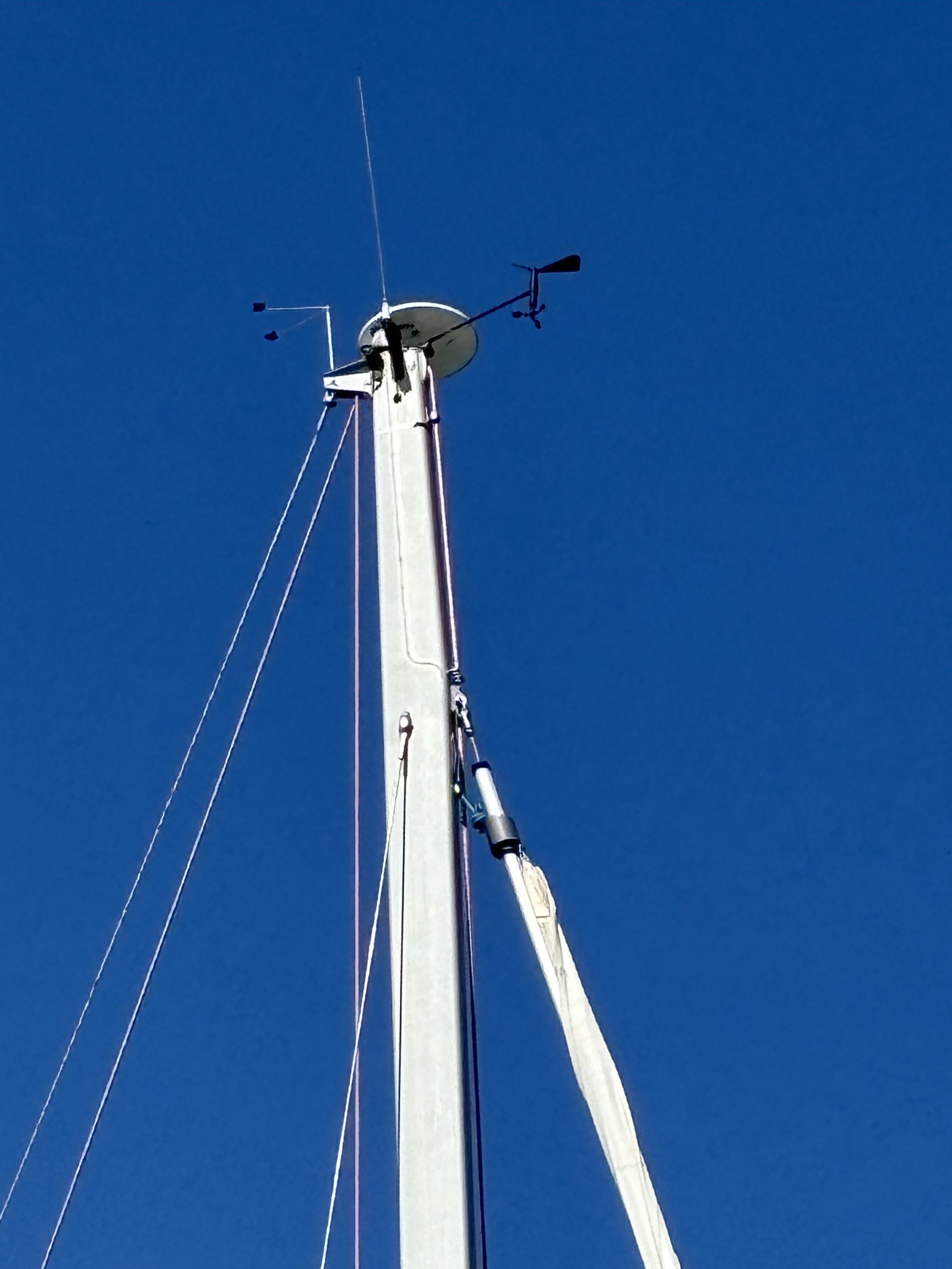 Segelbåt #42